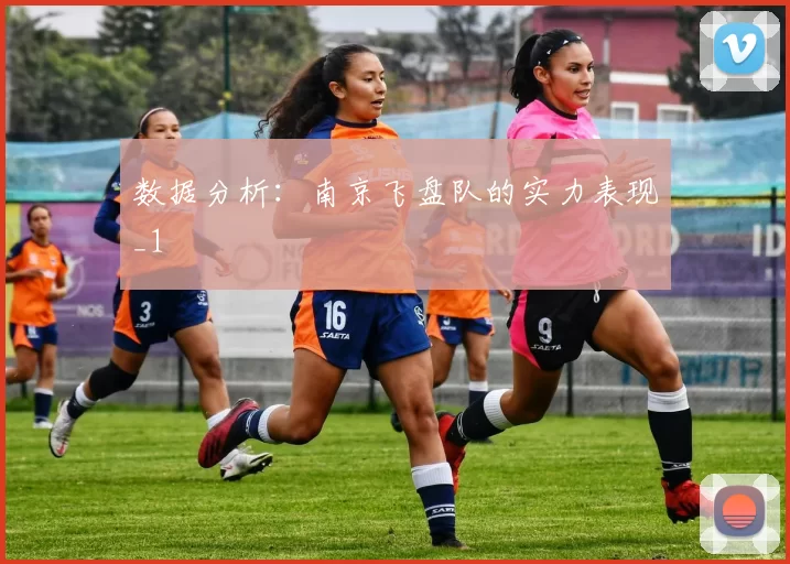 数据分析：南京飞盘队的实力表现_1
