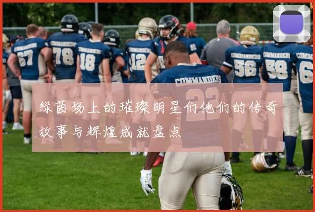绿茵场上的璀璨明星们他们的传奇故事与辉煌成就盘点
