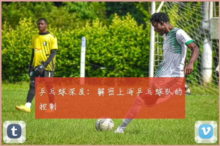 乒乓球深度：解密上海乒乓球队的控制