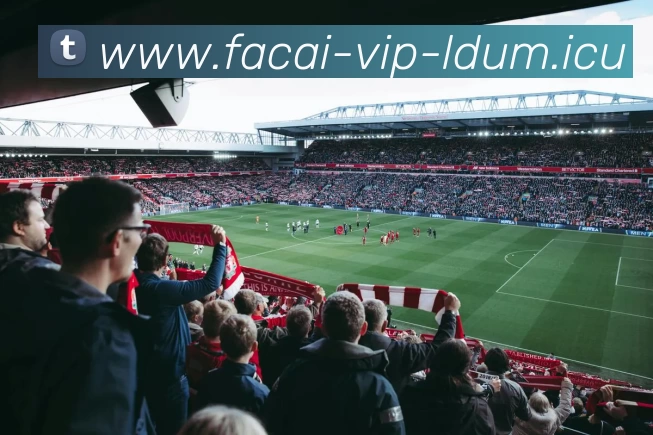 数据分析：上海极限运动队的速度表现